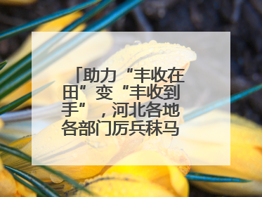 助力“丰收在田”变“丰收到手”，河北各地各部门厉兵秣马迎战“三夏”