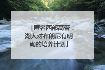 匿名西部高管：湖人对布朗尼有明确的培养计划