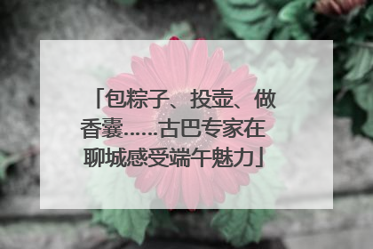 包粽子、投壶、做香囊……古巴专家在聊城感受端午魅力