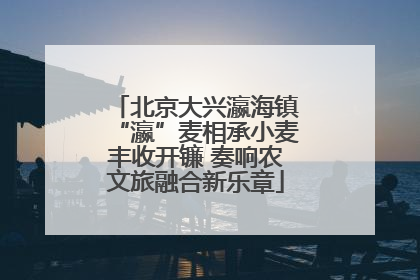 北京大兴瀛海镇“瀛”麦相承小麦丰收开镰 奏响农文旅融合新乐章