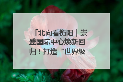 北向看衡阳｜崇盛国际中心焕新回归！打造“世界级美食主题公园”