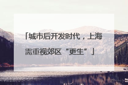 城市后开发时代，上海需重视郊区“更生”