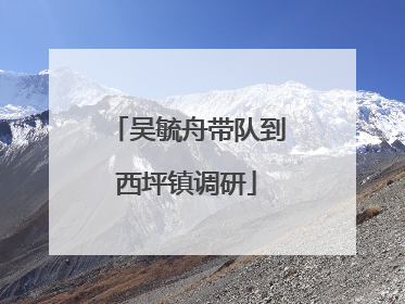 吴毓舟带队到西坪镇调研
