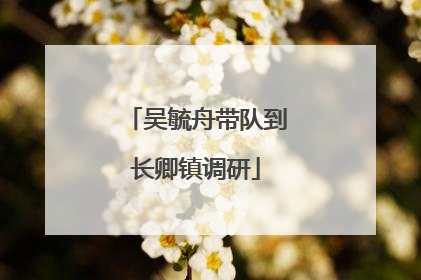 吴毓舟带队到长卿镇调研