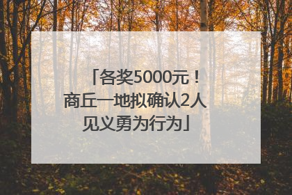 各奖5000元！商丘一地拟确认2人见义勇为行为