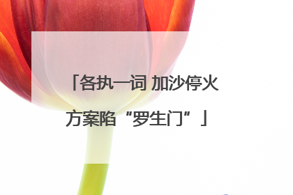 各执一词 加沙停火方案陷“罗生门”
