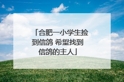 合肥一小学生捡到信鸽 希望找到信鸽的主人