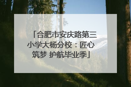 合肥市安庆路第三小学大杨分校：匠心筑梦 护航毕业季