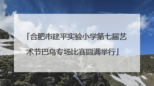 合肥市建平实验小学第七届艺术节巴乌专场比赛圆满举行