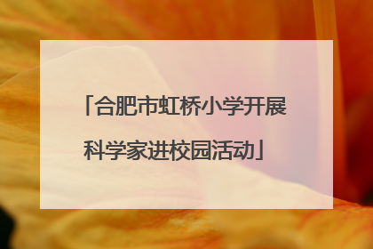 合肥市虹桥小学开展科学家进校园活动