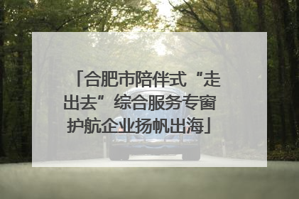 合肥市陪伴式“走出去”综合服务专窗护航企业扬帆出海