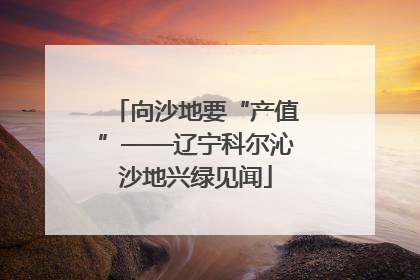 向沙地要“产值”——辽宁科尔沁沙地兴绿见闻