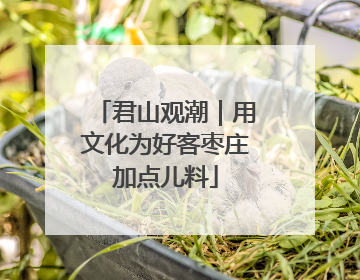 君山观潮｜用文化为好客枣庄加点儿料