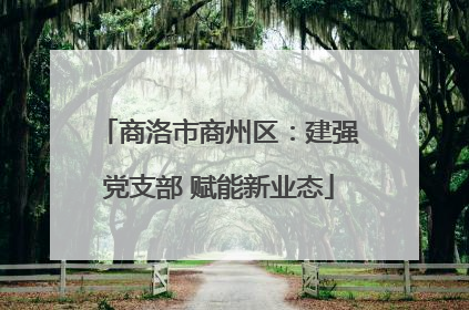 商洛市商州区：建强党支部 赋能新业态