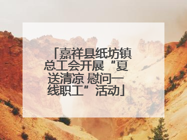 嘉祥县纸坊镇总工会开展“夏送清凉 慰问一线职工”活动