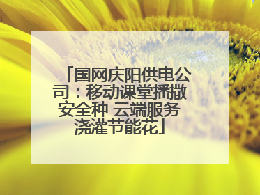 国网庆阳供电公司：移动课堂播撒安全种 云端服务浇灌节能花