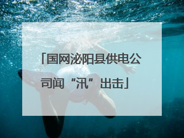 国网泌阳县供电公司闻“汛”出击