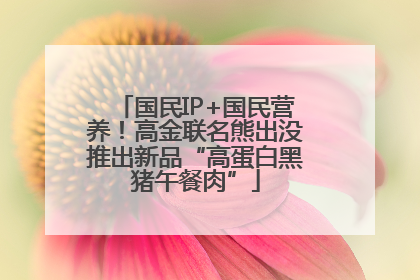 国民IP+国民营养！高金联名熊出没推出新品“高蛋白黑猪午餐肉”