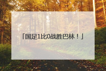 国足1比0战胜巴林！