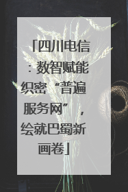 四川电信：数智赋能织密“普遍服务网”，绘就巴蜀新画卷