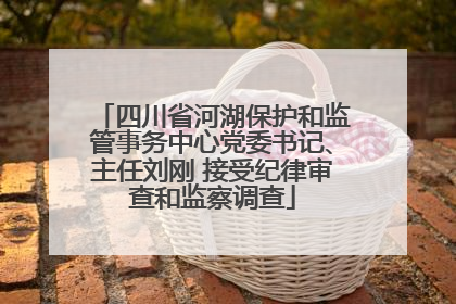 四川省河湖保护和监管事务中心党委书记、主任刘刚 接受纪律审查和监察调查