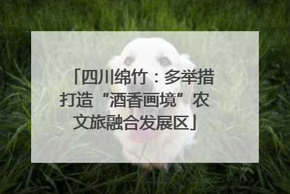 四川绵竹：多举措打造“酒香画境”农文旅融合发展区
