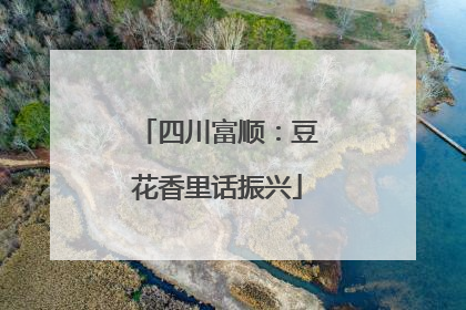 四川富顺：豆花香里话振兴