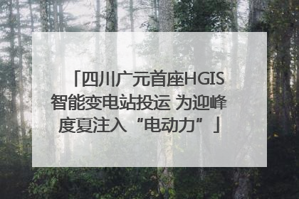 四川广元首座HGIS智能变电站投运 为迎峰度夏注入“电动力”