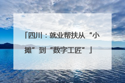 四川：就业帮扶从“小摊”到“数字工匠”