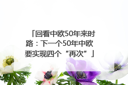 回看中欧50年来时路：下一个50年中欧要实现四个“再次”