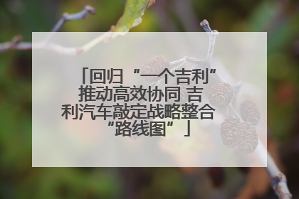 回归“一个吉利” 推动高效协同 吉利汽车敲定战略整合“路线图”