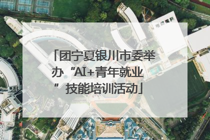 团宁夏银川市委举办“AI+青年就业”技能培训活动