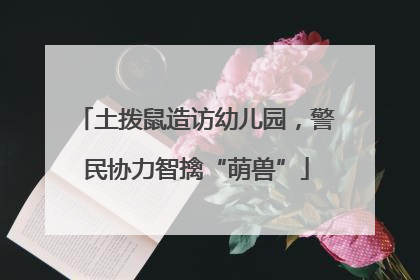 土拨鼠造访幼儿园，警民协力智擒“萌兽”
