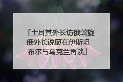 土耳其外长访俄斡旋 俄外长说愿在伊斯坦布尔与乌克兰再谈