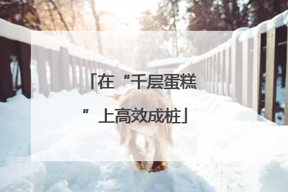 在“千层蛋糕”上高效成桩