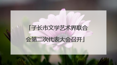 子长市文学艺术界联合会第二次代表大会召开