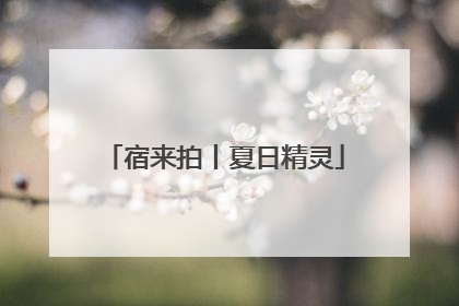 宿来拍丨夏日精灵