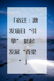 宿迁：激发项目“引擎” 挺起发展“脊梁”