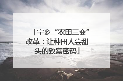 宁乡“农田三变”改革：让种田人尝甜头的致富密码