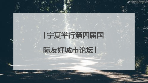 宁夏举行第四届国际友好城市论坛