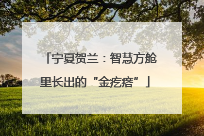 宁夏贺兰：智慧方舱里长出的“金疙瘩”