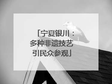 宁夏银川：多种非遗技艺引民众参观