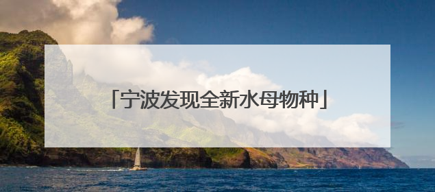 宁波发现全新水母物种