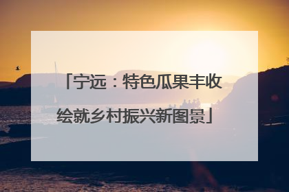 宁远：特色瓜果丰收绘就乡村振兴新图景