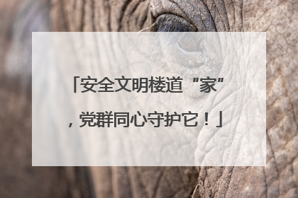 安全文明楼道“家”，党群同心守护它！
