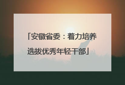 安徽省委：着力培养选拔优秀年轻干部