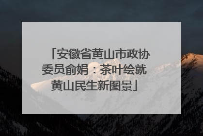 安徽省黄山市政协委员俞娟：茶叶绘就黄山民生新图景