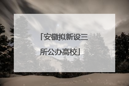 安徽拟新设三所公办高校