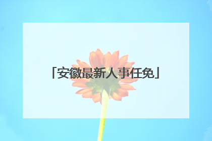 安徽最新人事任免