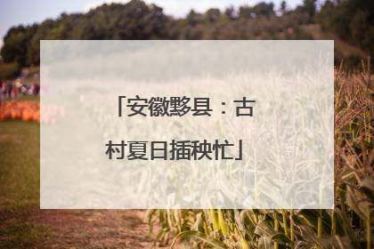 安徽黟县：古村夏日插秧忙
